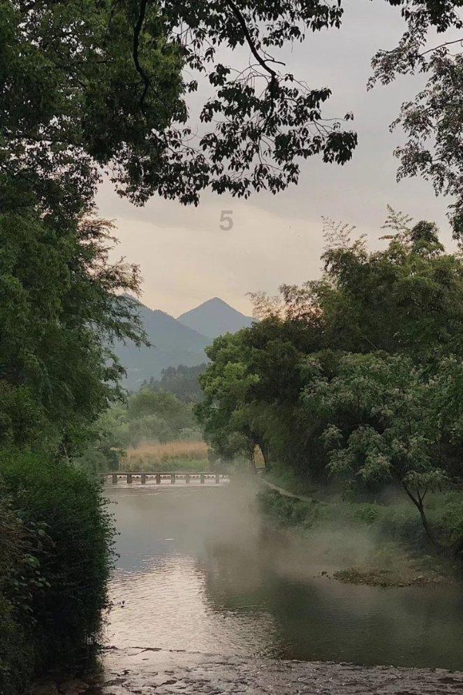 僵尸过人行道